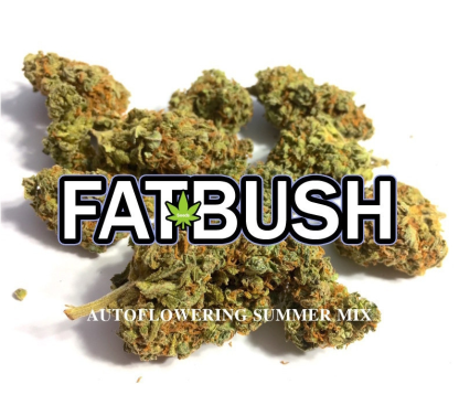 MIX-AUTOFLORAISON