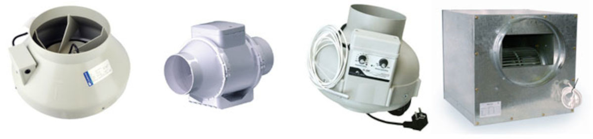 ventilation cannabis