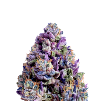 animal-mints